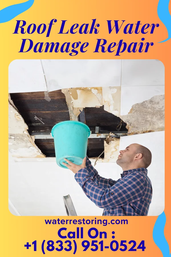 Roof Leak Water Damage Repair in Linn Grove, IA